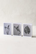 Echo Wave (No. 2) Botanical Notecards