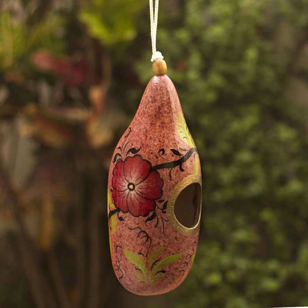 Hand Painted Gourd Birdhouse from Peru 'Blossoms on Blush'