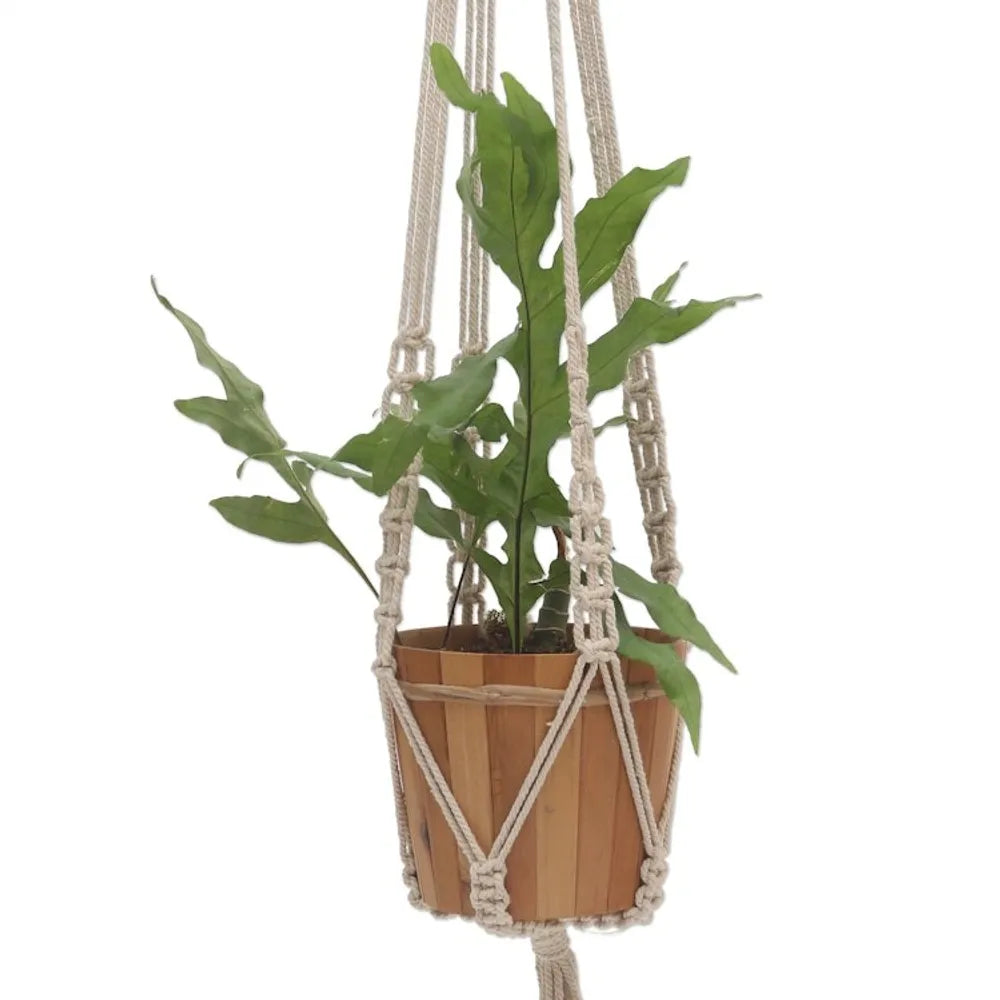 Hand-Knotted White Cotton Macrame Hanger from Bali 'Pure Home'