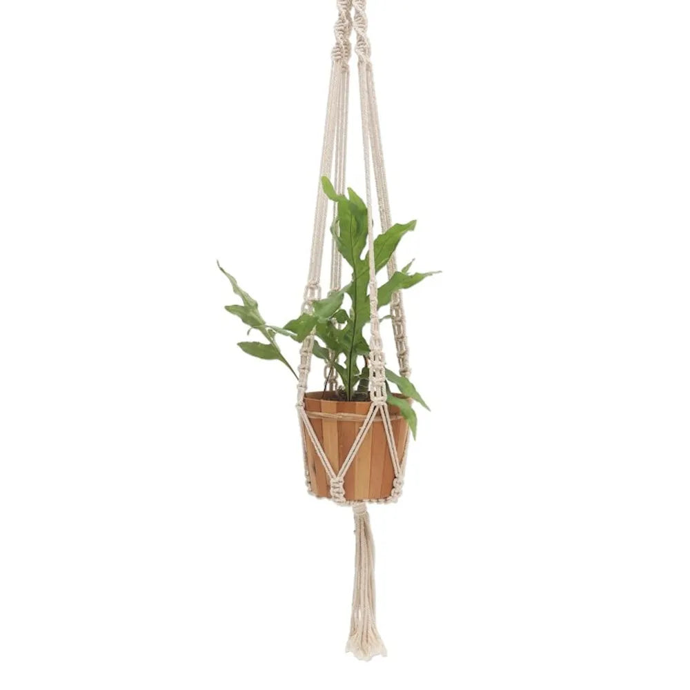 Hand-Knotted White Cotton Macrame Hanger from Bali 'Pure Home'