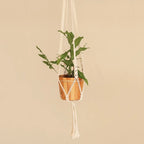 Hand-Knotted White Cotton Macrame Hanger from Bali 'Pure Home'