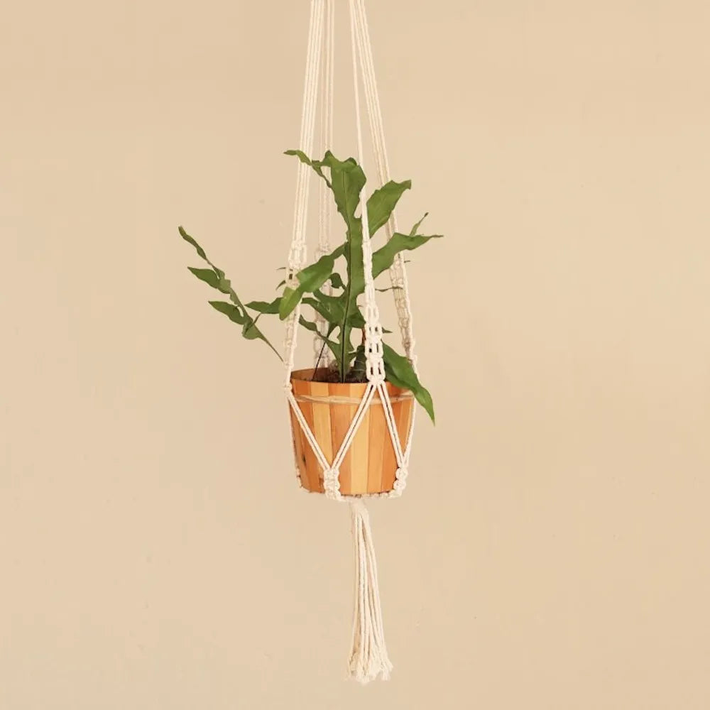 Hand-Knotted White Cotton Macrame Hanger from Bali 'Pure Home'