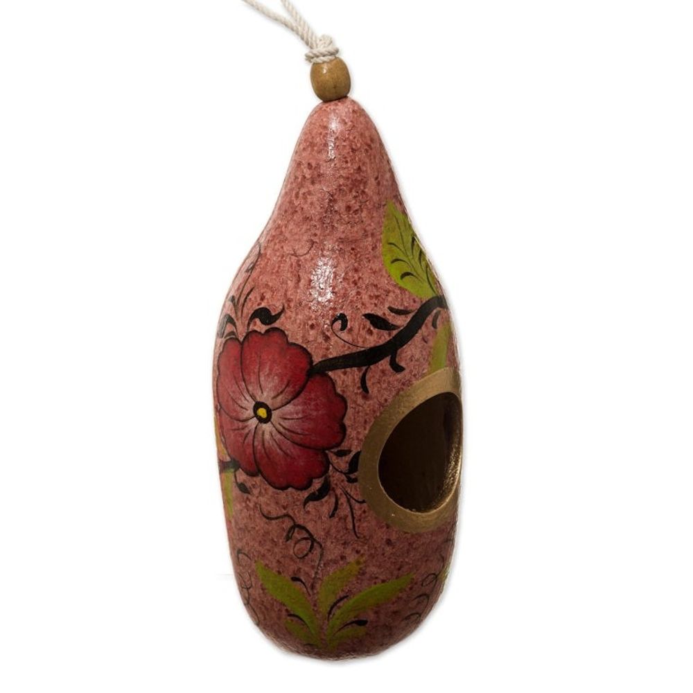 Hand Painted Gourd Birdhouse from Peru 'Blossoms on Blush'